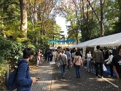 11月 毎週末の飛び・学祭